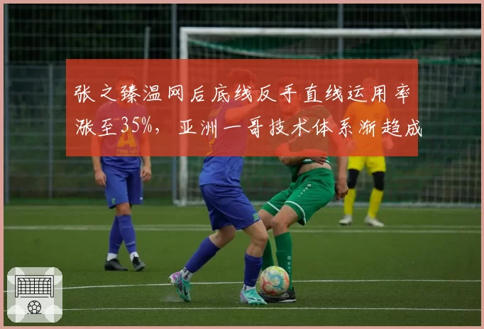 张之臻温网后底线反手直线运用率涨至35%,亚洲一哥技术体系渐趋成熟