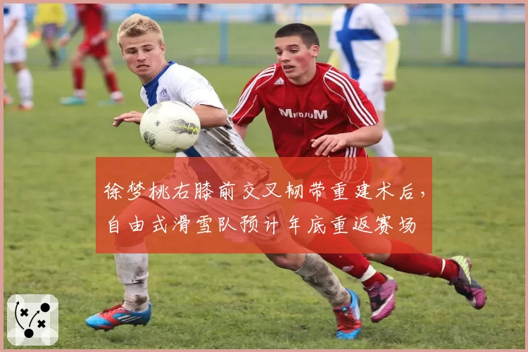 徐梦桃右膝前交叉韧带重建术后,自由式滑雪队预计年底重返赛场