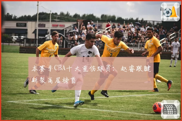 本赛季CBA十大重伤球员：赵睿跟腱断裂高居榜首